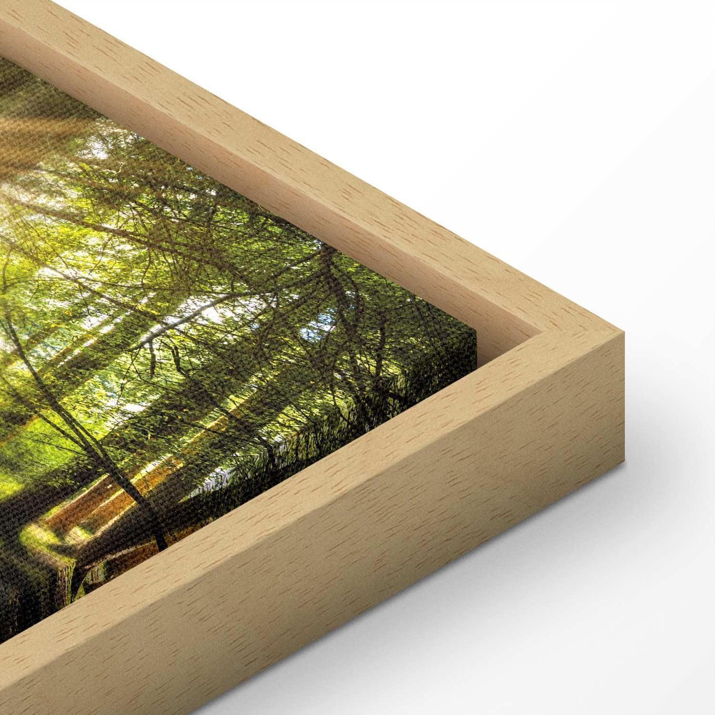 Leinwandbild - Daylight