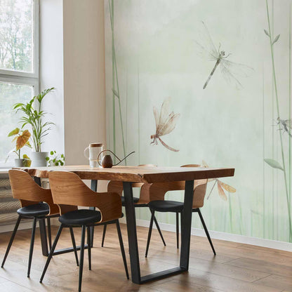 Fototapete - Dragonflies in the Meadow