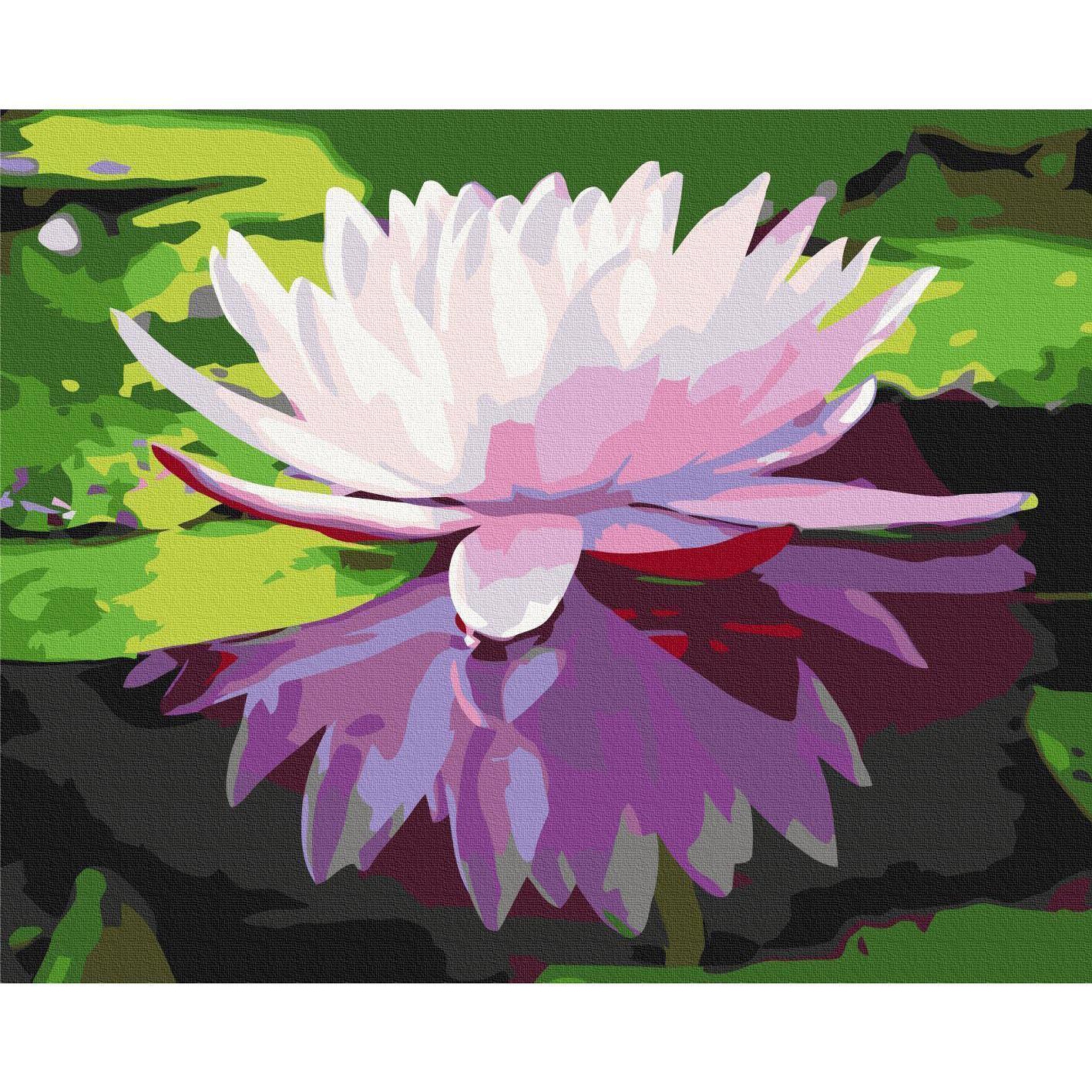 Malen nach Zahlen - Water Lily