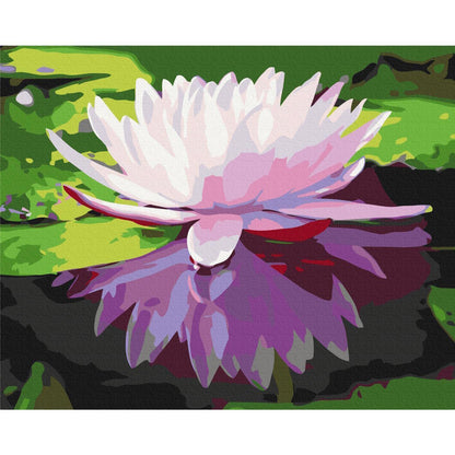 Malen nach Zahlen - Water Lily