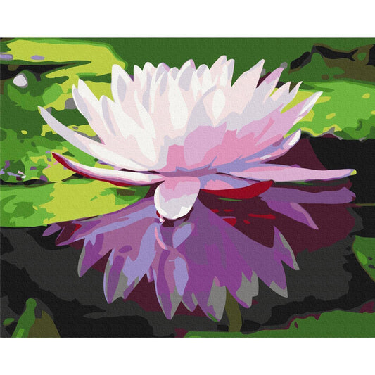 Malen nach Zahlen - Water Lily