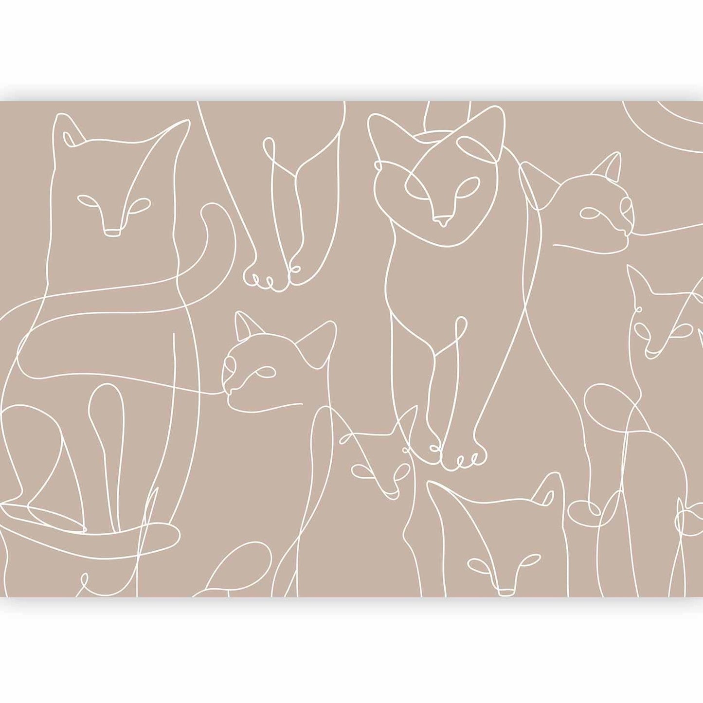 Fototapete - Cat lineart - minimalist sketches of white cats on beige background Artgeist