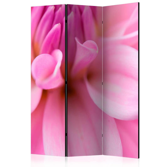Paravent - Flower petals - dahlia Artgeist