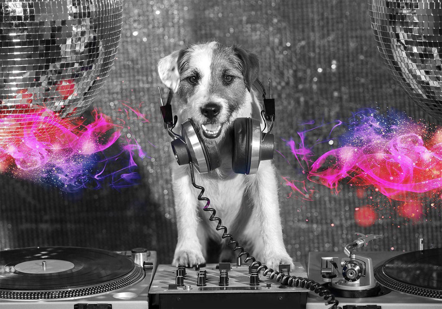 Fototapete - DJ Dog Artgeist
