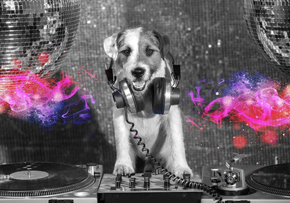 Fototapete - DJ Dog Artgeist