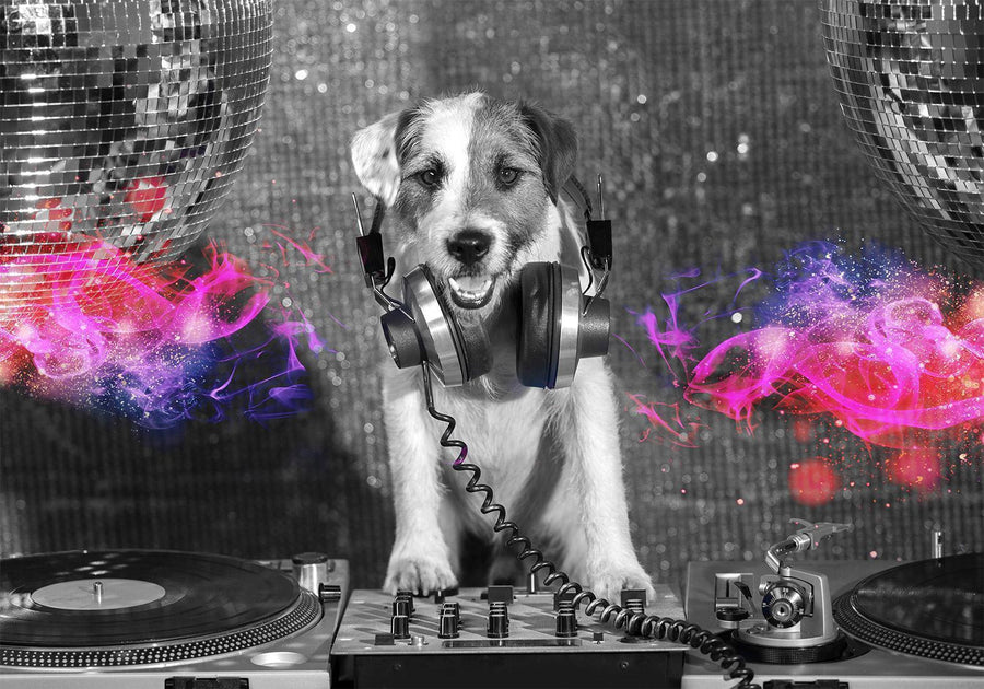 Fototapete - DJ Dog Artgeist