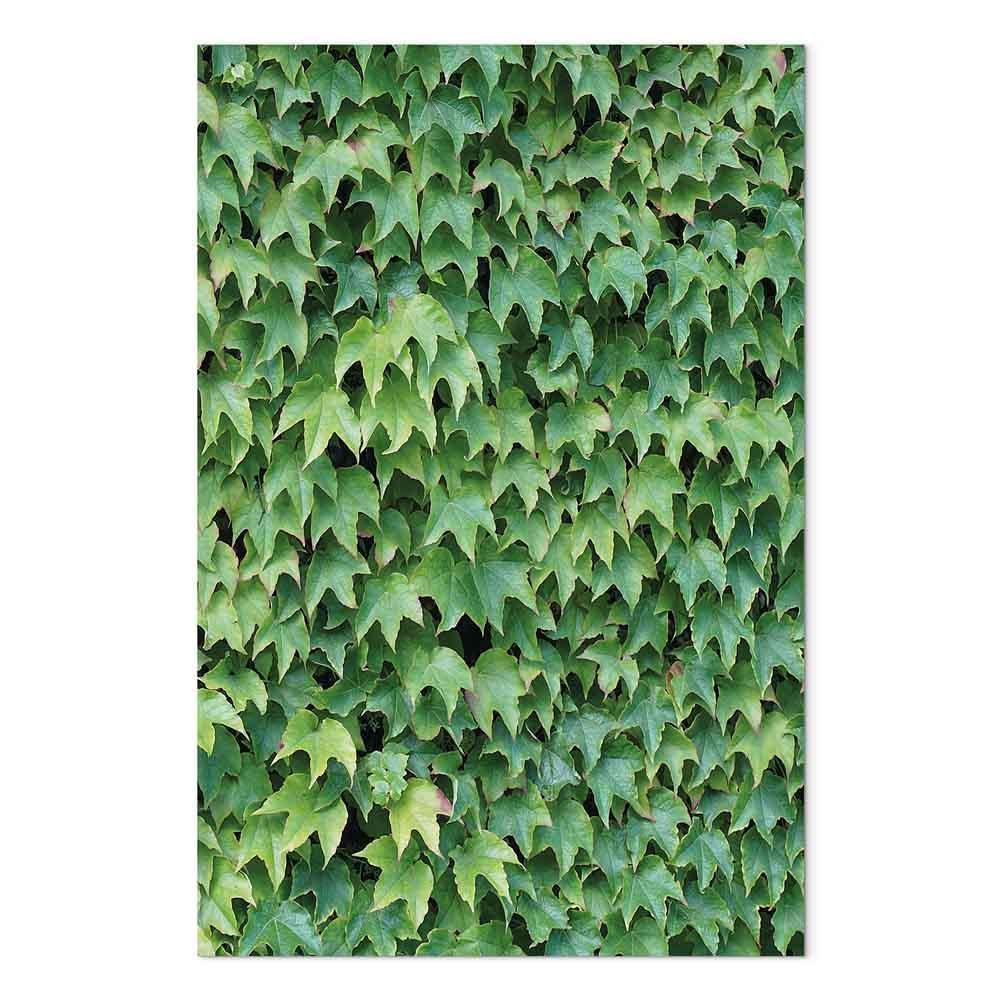 Leinwandbild - Thick Ivy (1 Part) Vertical
