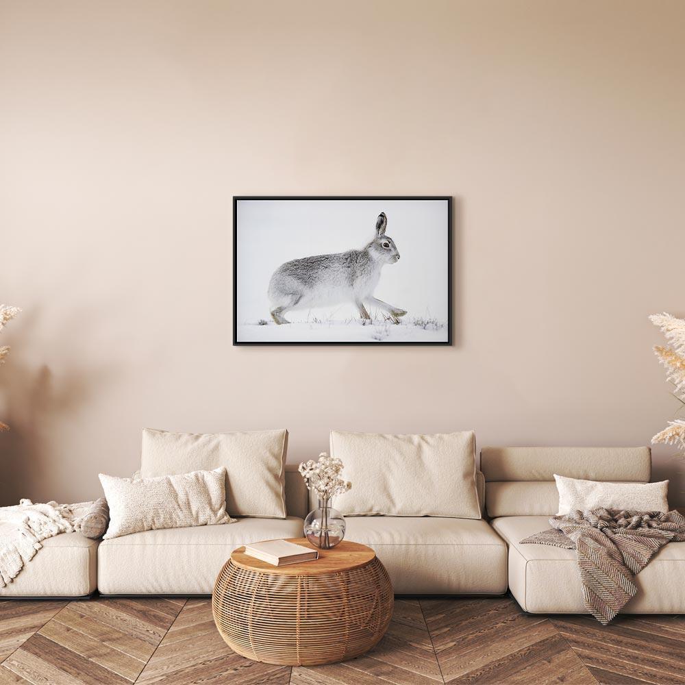 Leinwandbild - Hare (1 Part) Wide