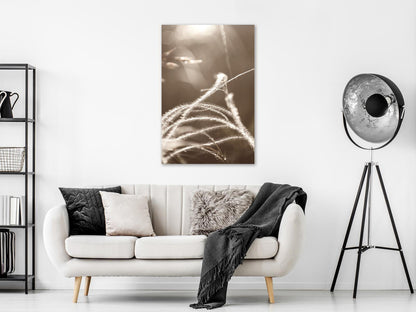 wandbild - Fluffy Grass