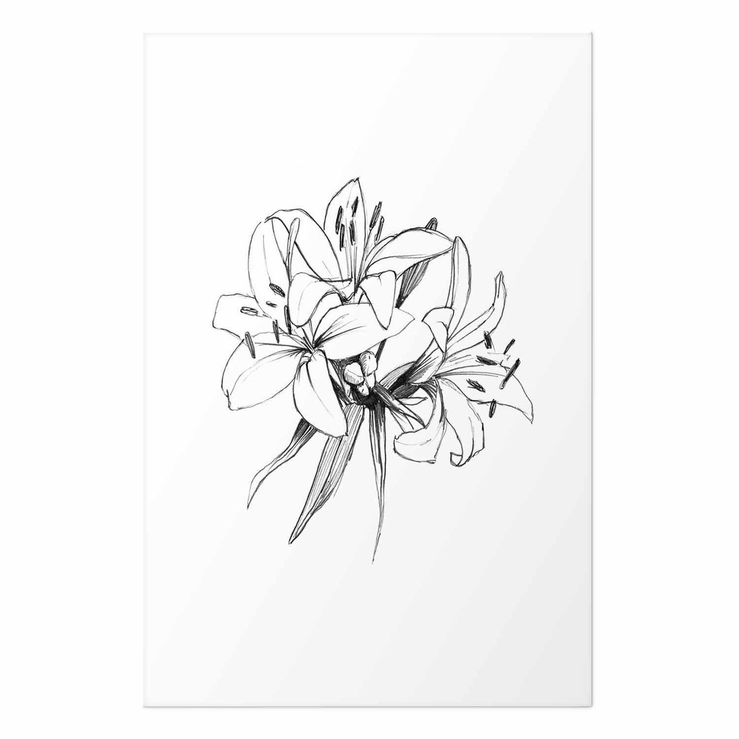 Poster - Drawn Flowers