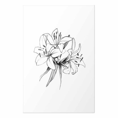 Poster - Drawn Flowers