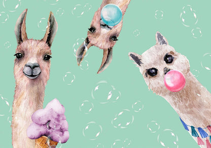 Fototapete Crazy Llamas – Lustige Tiere als bunte Wanddekoration