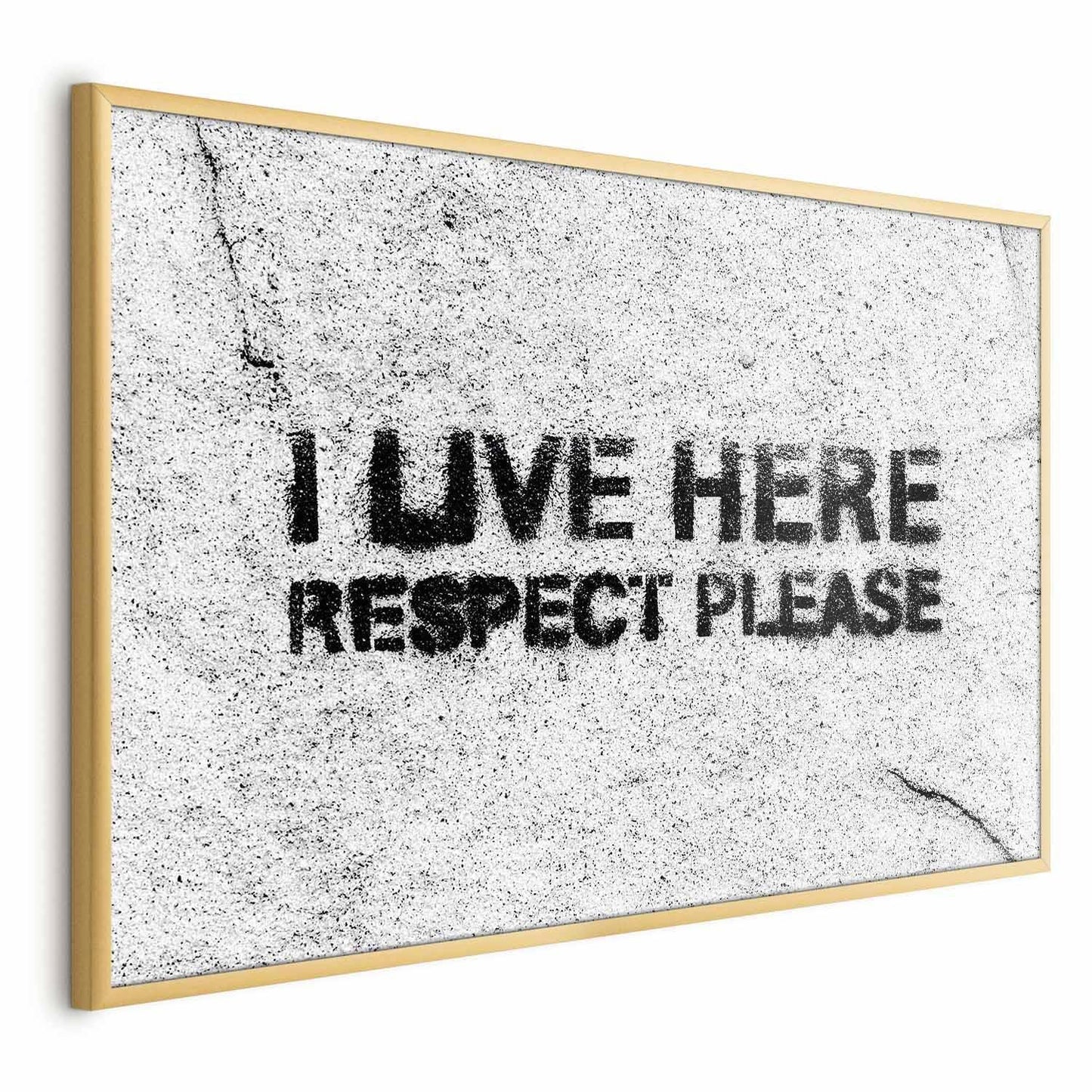 Poster - I Live Here, Respect Please Artgeist