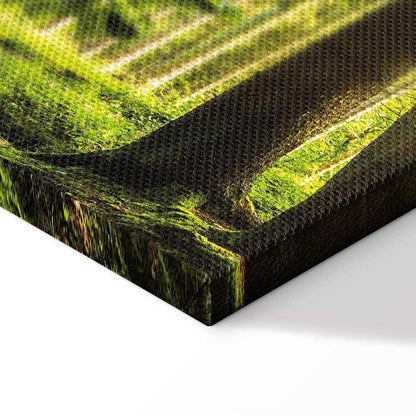 Leinwandbild - Sunlight