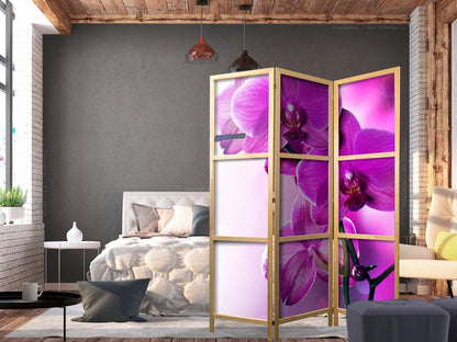 Japanischer Paravent - Violet Orchids I Artgeist