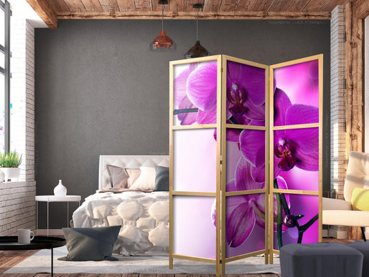 Japanischer Paravent - Violet Orchids I Artgeist