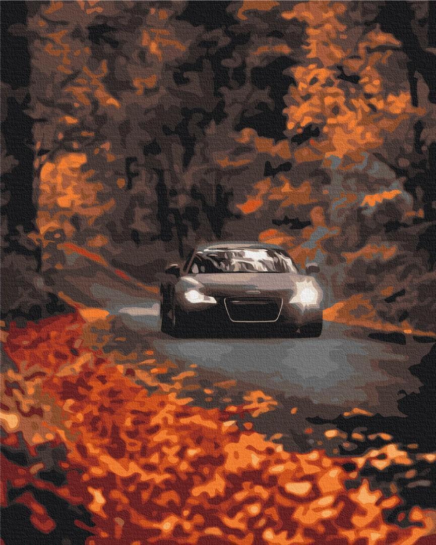 Malen nach Zahlen - Autumn road through the forest