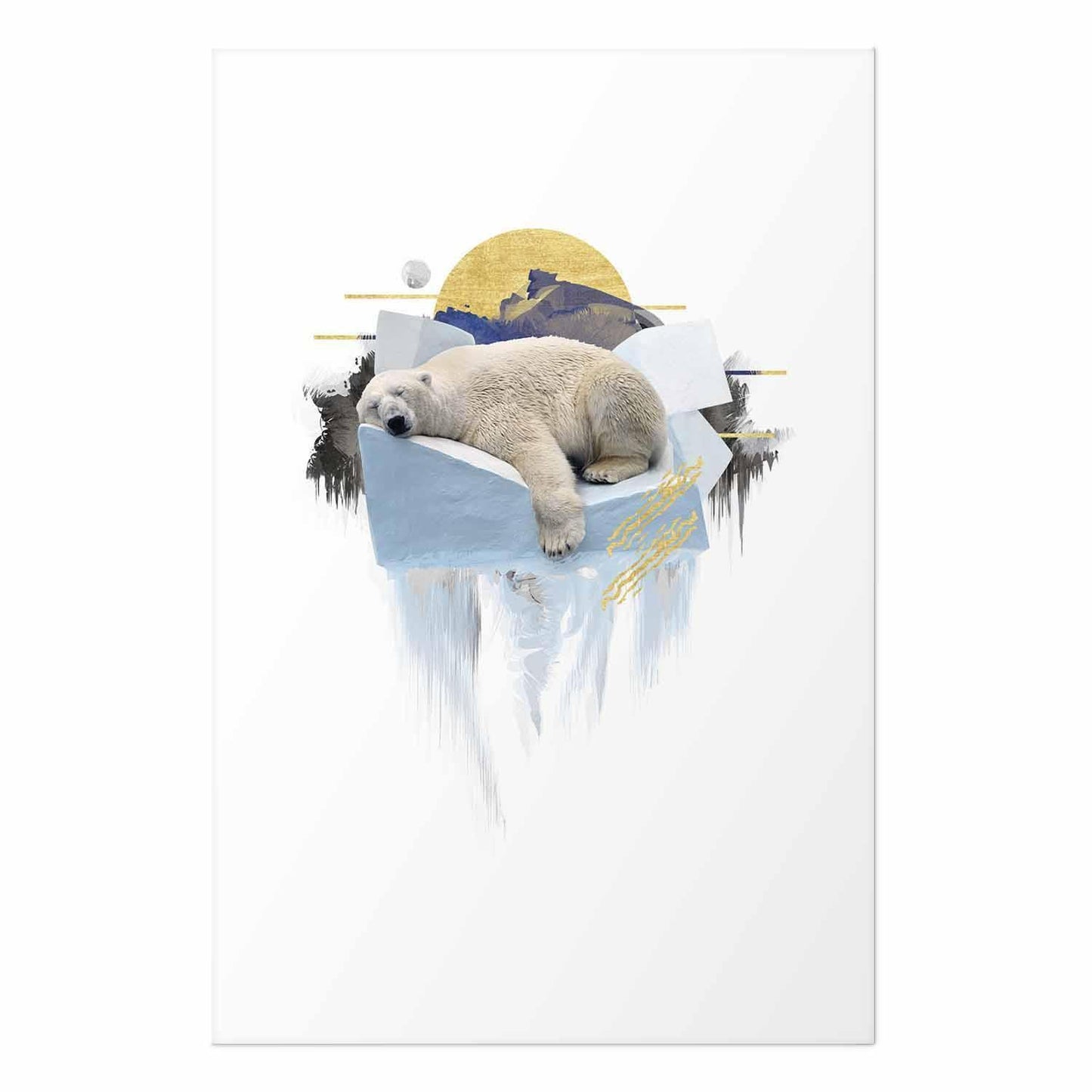 Poster - Polar Bear