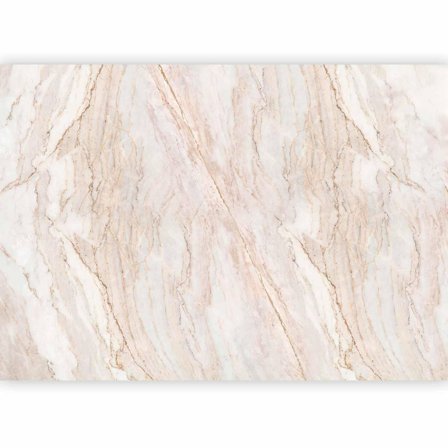 Detailansicht Fototapete Edler Stein - Natürliche Marmorstruktur mit Beige-Weiß-Grau Maserung