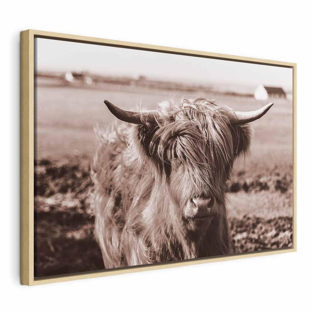 Leinwandbild - A Scottish Cow in Sepia