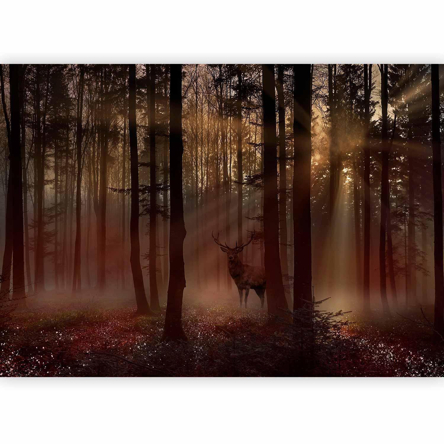 Fototapete - Mystical Forest - First Variant Artgeist