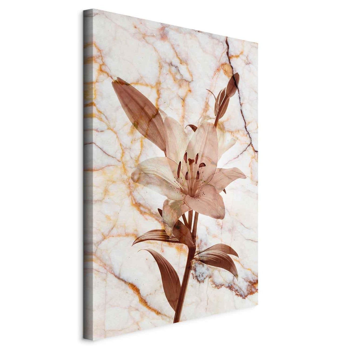 Leinwandbild - Elegance of a Flower (1-part) - Delicate Lily on Marble in Sepia