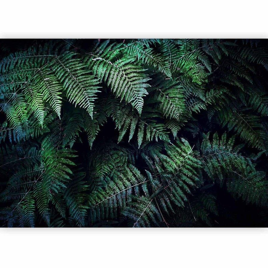 Fototapete – Geheimnisvolles Dickicht mit botanischem Flair