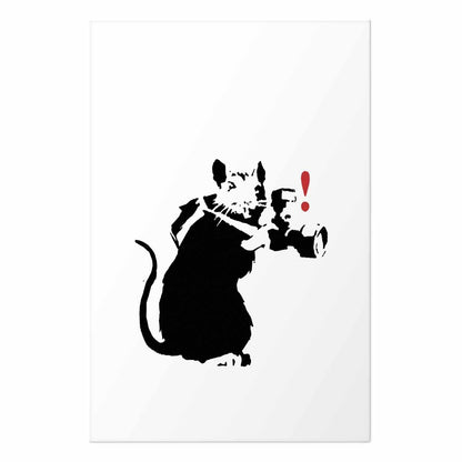 Poster - Photographer Rat