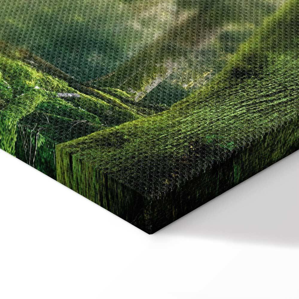Leinwandbild - The Beauty of the Forest