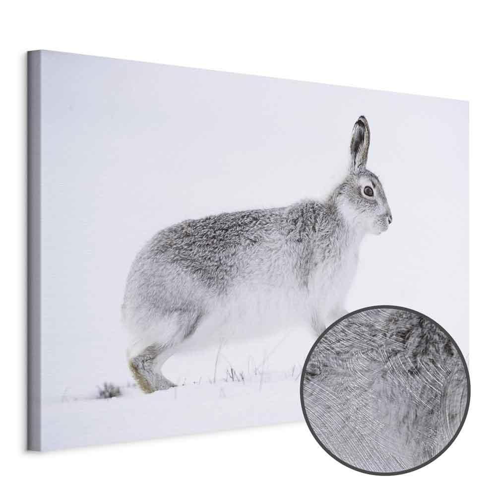 Leinwandbild - Hare (1 Part) Wide