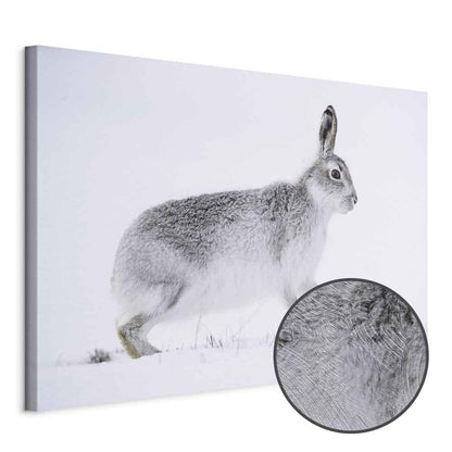 Leinwandbild - Hare (1 Part) Wide
