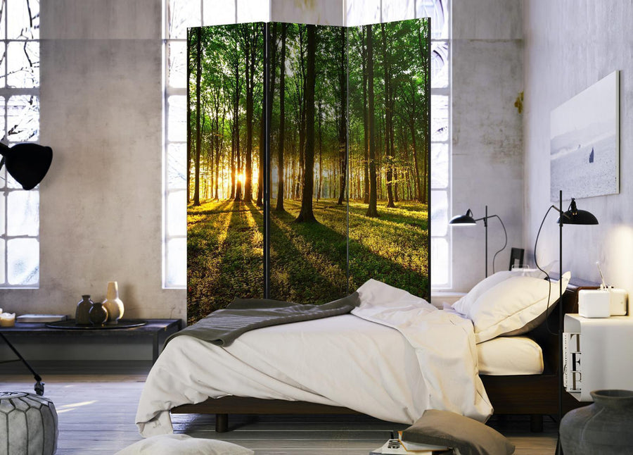 Paravent - Morning in the Forest Artgeist