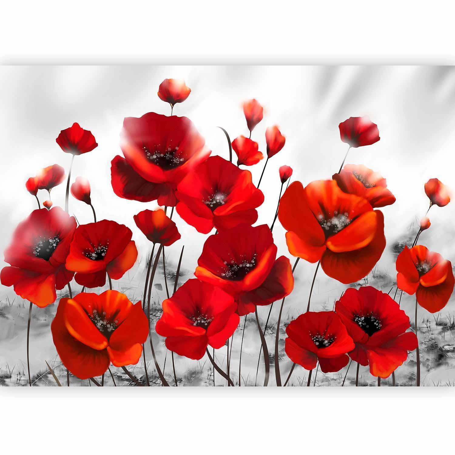 Fototapete „Mohn im Mondlicht“ – Magische Stimmung in Rot sawelt.eu