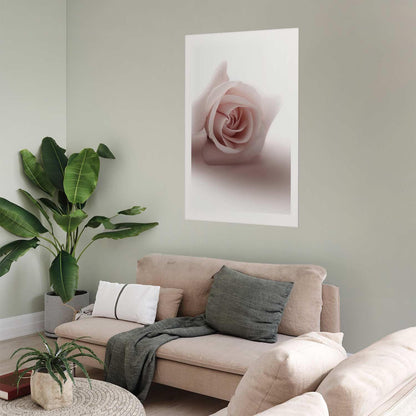 Poster - Rose Shadow Artgeist