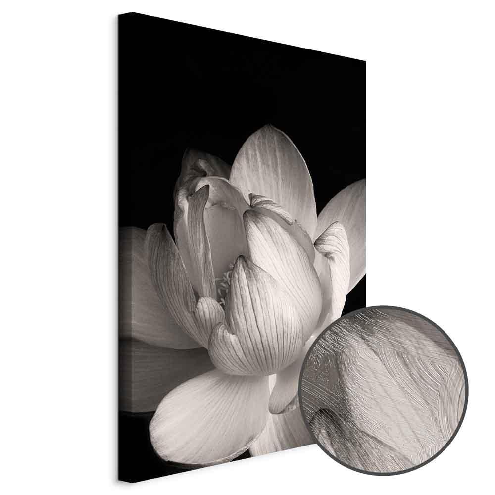 Leinwandbild - Delicacy of Petals in Nature (1-part) - Flower in Black and White