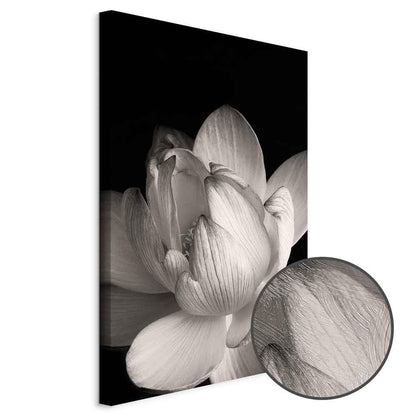 Leinwandbild - Delicacy of Petals in Nature (1-part) - Flower in Black and White