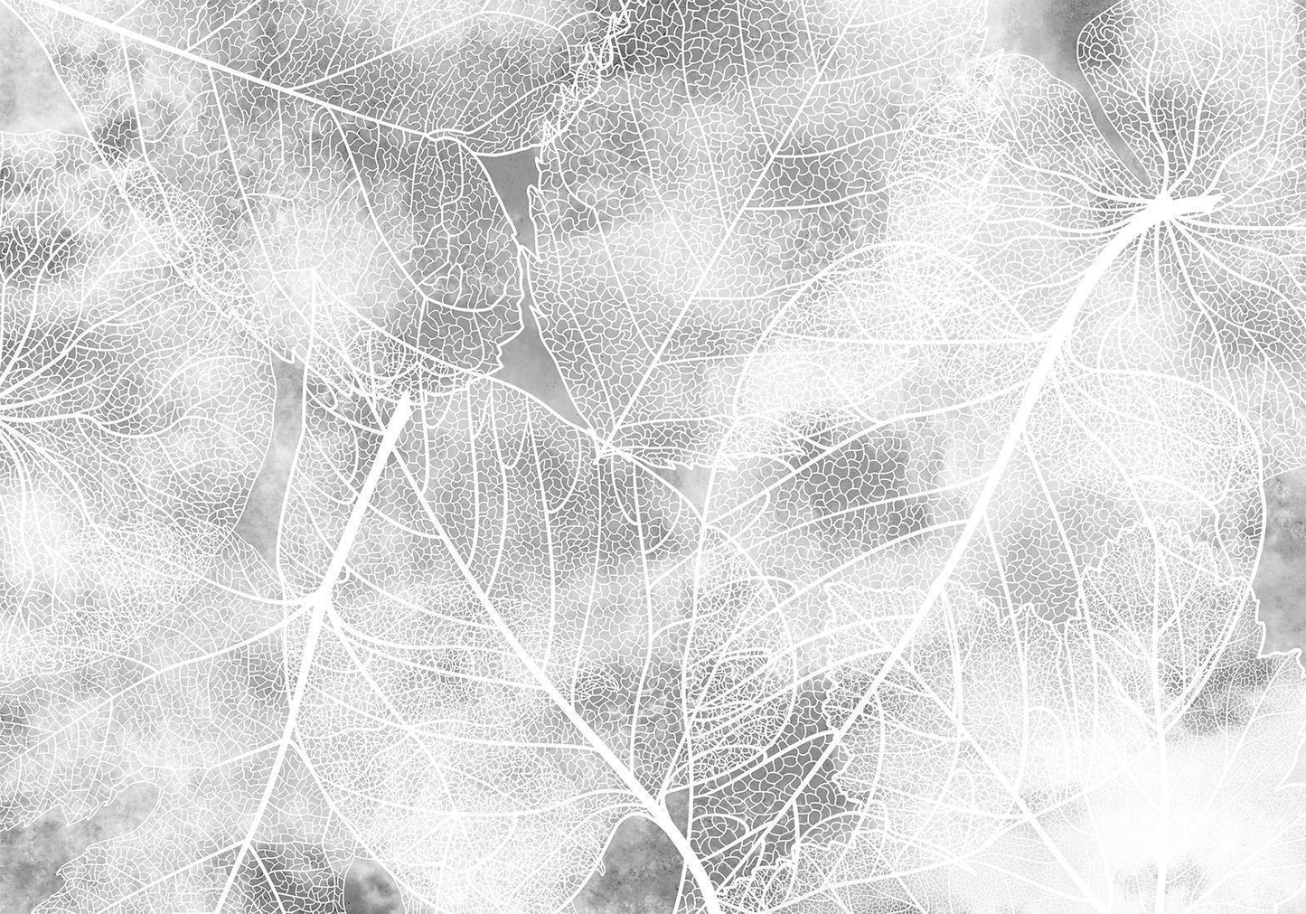 Fototapete - Nature in My Home - Third Variant Artgeist