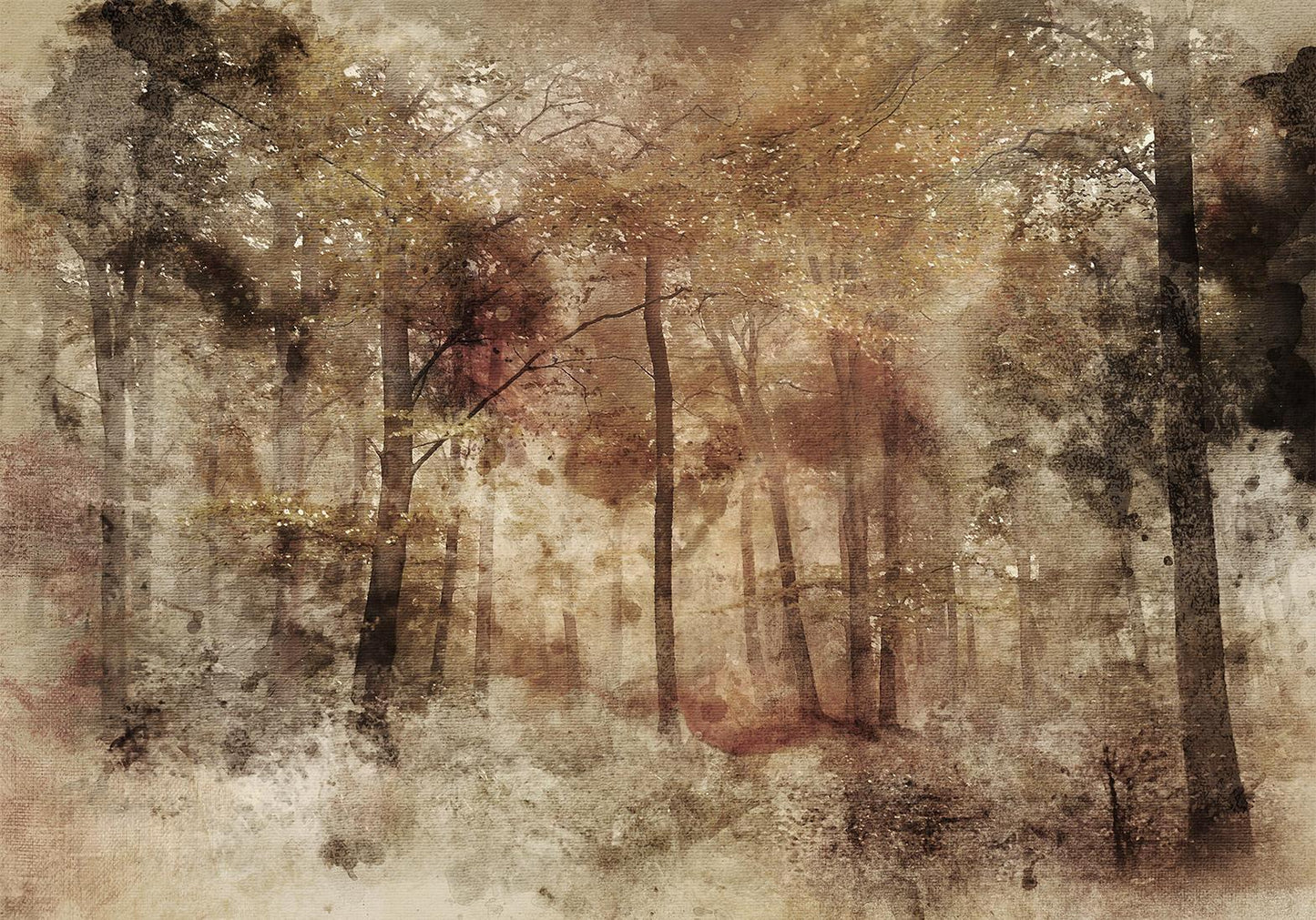 Fototapete - Lost in the woods Artgeist