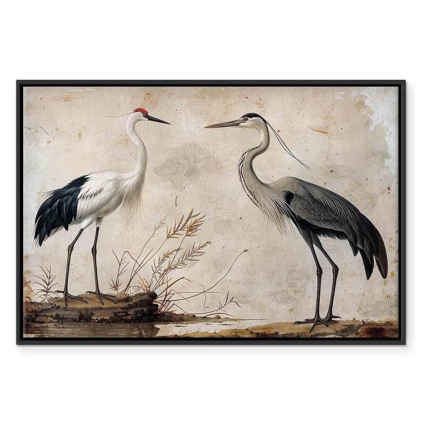 Leinwandbild - Birds from an old engraving - vintage-style illustration depicting a heron and a crane