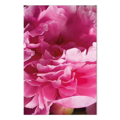 Leinwandbild - Blossom of Beauty (1-part) - Pink Peony Flower Embraced by Nature