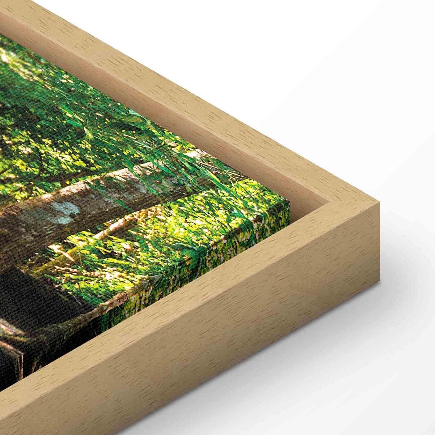 Leinwandbild - Nature: Forest Waterfall