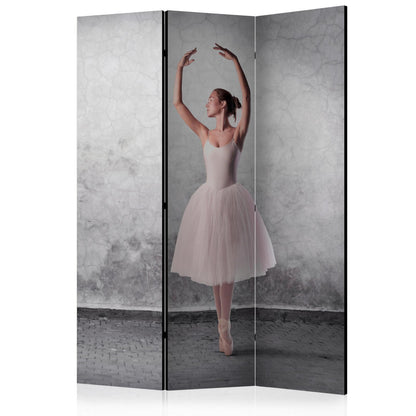 Paravent - Ballerina in Degas paintings style Artgeist