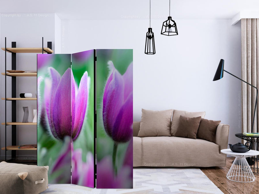 Paravent - Purple spring tulips Artgeist