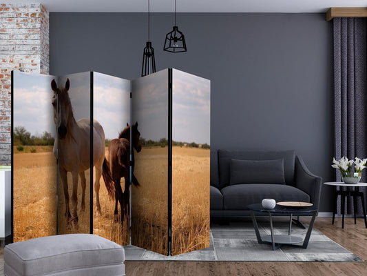 Paravent - Horse and foal II Artgeist