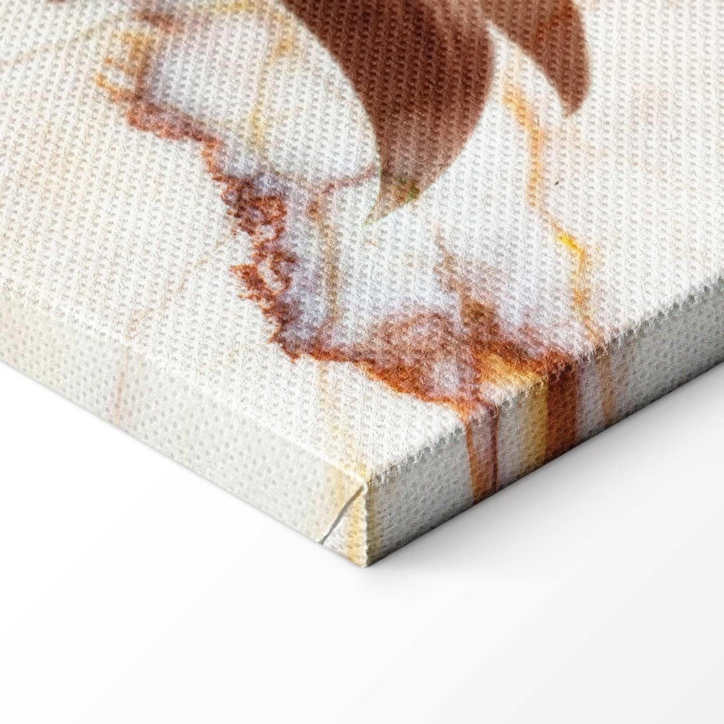 Leinwandbild - Elegance of a Flower (1-part) - Delicate Lily on Marble in Sepia