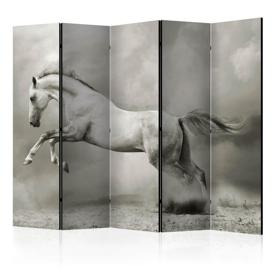 Paravent - Wild Stallion II Artgeist