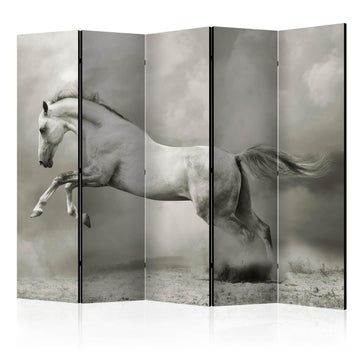 Paravent - Wild Stallion II Artgeist