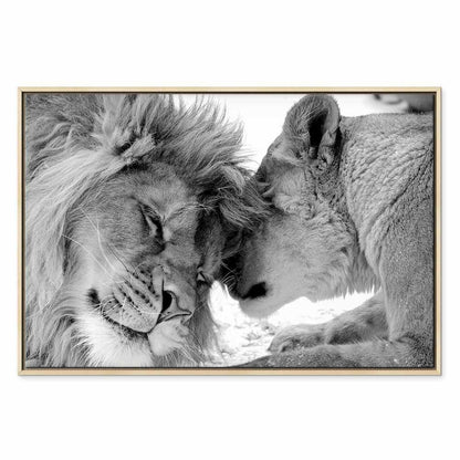 Leinwandbild - Lion's Love