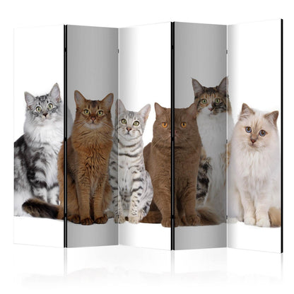 Paravent - Sweet Cats II Artgeist