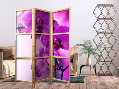 Japanischer Paravent - Violet Orchids I Artgeist